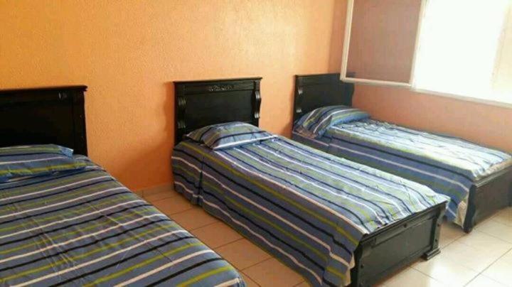 Zitouna 3*